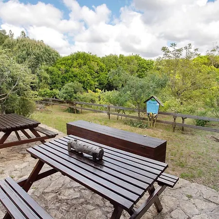 Quinta Do Castelo - Casa Familiar Venkovský dům Reguengo Grande