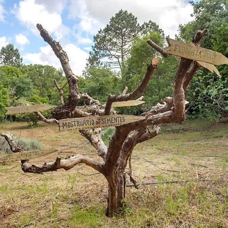 Venkovský dům Quinta Do Castelo - Casa Familiar